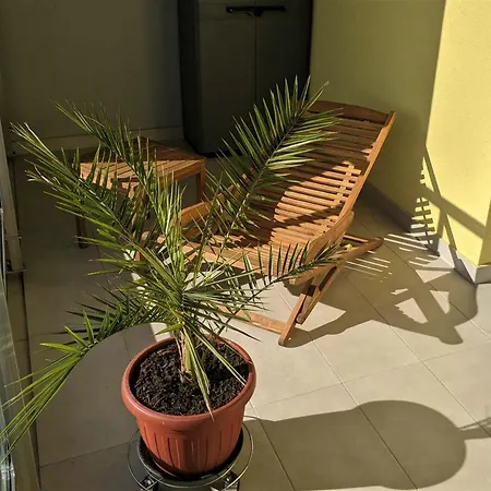 Izzy&simple Appartement